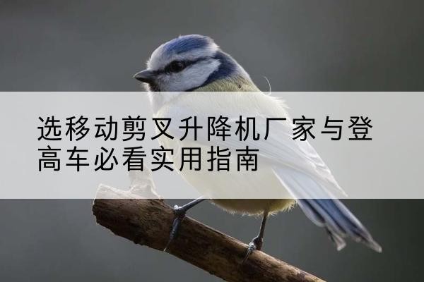 宁津电动升降机厂家-选移动剪叉升降机厂家与登高车必看实用指南