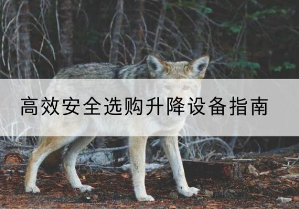 宁津升降货梯厂家推荐-*安全选购升降设备指南