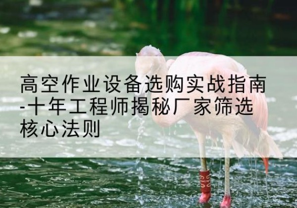 宁津剪叉式升降机厂家-高空作业设备选购实战指南-十年工程师揭秘厂家筛选核心法则